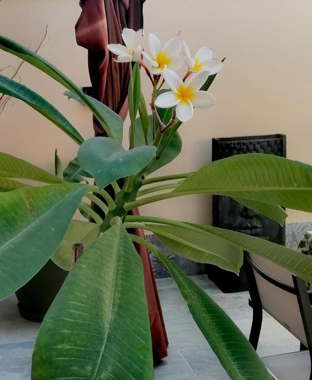 Mikalita Villa San Fernando Luaran gambar
